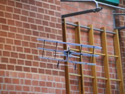 hallenfliegen26012025 37